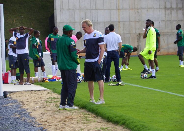 Lions à Vitoria : Décrassage et quartier libre