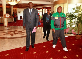 Lions: Owona et Garoua en appellent à un plan d’urgence