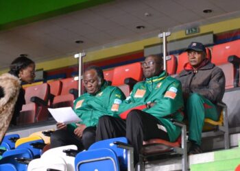 Brésil 2014:  Adoum Garoua attendu par les députés