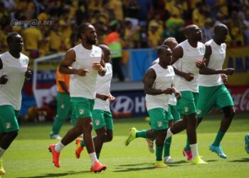 Mondial 2014: la FIF présente ses « sincères regrets » aux Ivoiriens après l’élimination des Eléphants