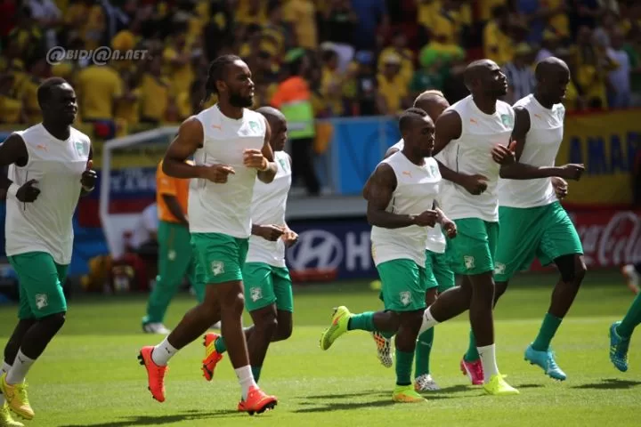 Mondial 2014: la FIF présente ses « sincères regrets » aux Ivoiriens après l’élimination des Eléphants