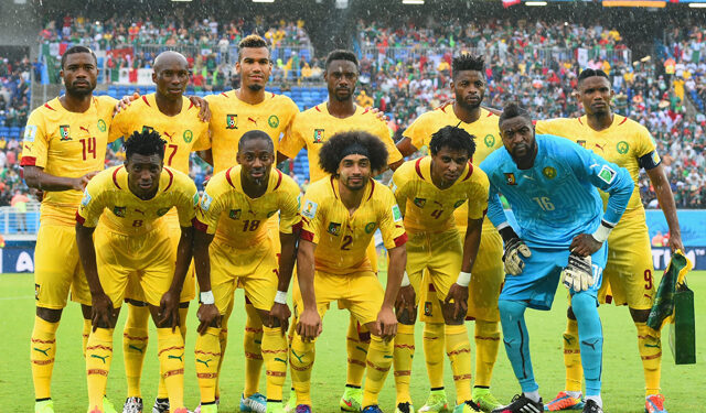 Lions : Une tanière à dératiser