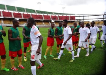 Les Lionceaux font match nul en rodage