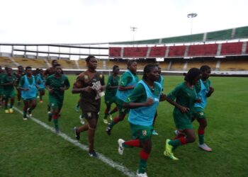 Bataille pour la place chez les Lionnes