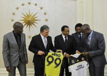 Débâcle des Lions : une (autre) enquête pour rien ?