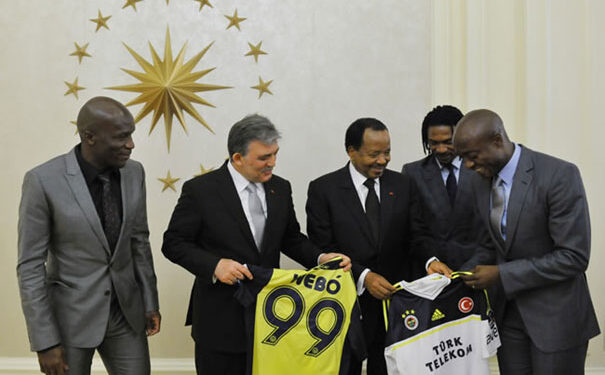 Débâcle des Lions : une (autre) enquête pour rien ?