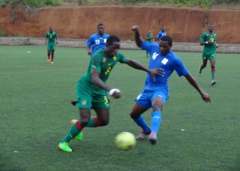 Eliminatoires Can junior: Préparation à deux vitesses des Lionceaux