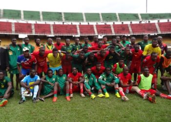 Cameroun – Afrique du Sud : Des professionnels bien en place