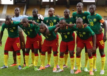 Can cadet 2015 : Les Lionceaux dans la rue