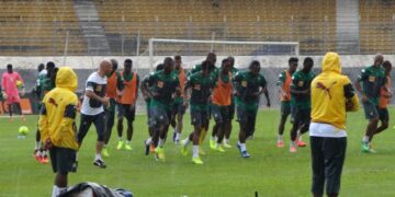 CMR – CIV: La reconnaissance du terrain des Lions