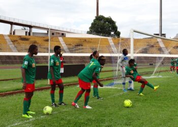 Can féminine 2014: Dernière ligne droite pour les Lionnes