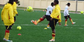 Lionnes Indomptables : avec les pros dans la tanière