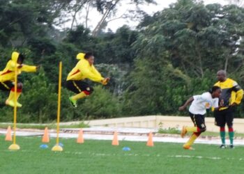 Lionnes – Apejes cadets ce mercredi