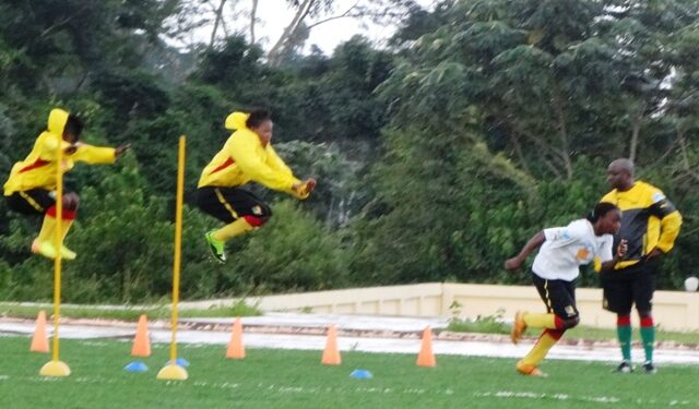 Lionnes – Apejes cadets ce mercredi