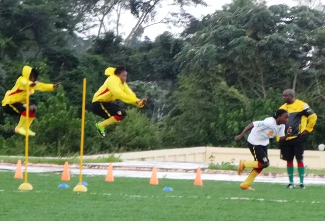 Lionnes – Apejes cadets ce mercredi