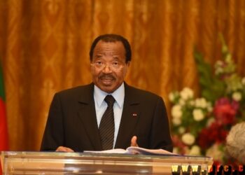 Lions Indomptables: Pleins pouvoirs à la Fécafoot