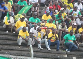Panthère : Ça a chauffé entre l&rsquo;ancien et le nouveau DG à Douala