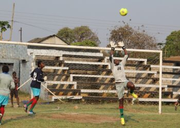 Amical: les Lionnes affrontent la Zambie ce mercredi
