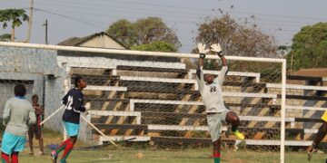 Amical: les Lionnes affrontent la Zambie ce mercredi