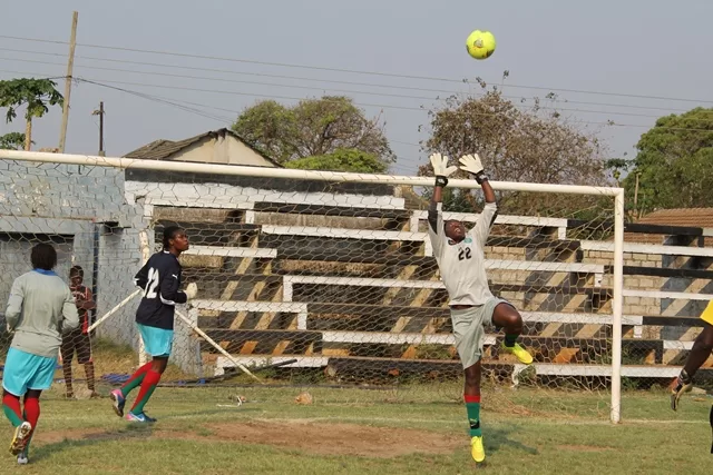 Amical: les Lionnes affrontent la Zambie ce mercredi