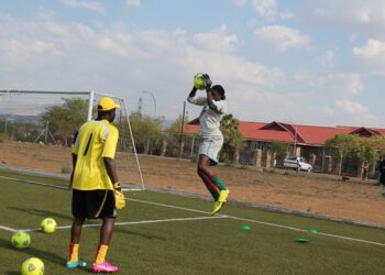 CAN Féminine/ Namibie 2014: La colonie camerounaise venue encourager les Lionnes