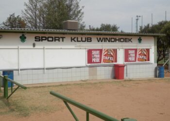Namibie 2014: Le Lundi des Lionnes en images