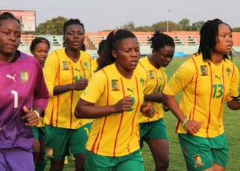 Can Féminine : Les Lionnes, prêtes à rugir