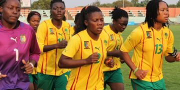 Can Féminine : Les Lionnes, prêtes à rugir