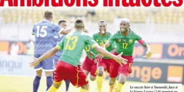 La presse pouponne les Lions mais retient son souffle