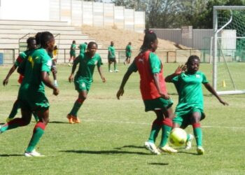 Lionnes indomptables: le bon travail continu