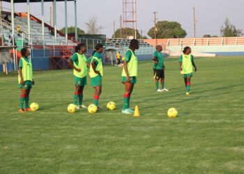 Can féminine 2014: Les Lionnes à la deuxième révision de leurs leçons