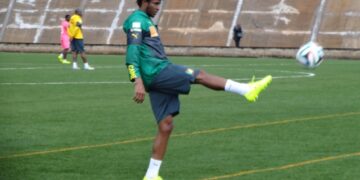 Lions Indomptables : Djeugoue sur pied, Nkoulou toujours au soin