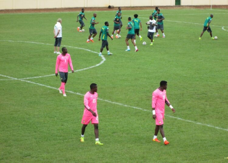 Lions Indomptables: Jeudi en images