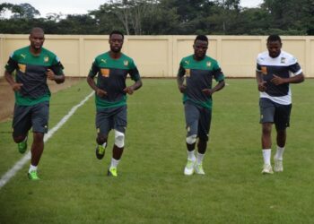 Cascade de pépins physiques dans la tanière