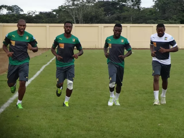 Cascade de pépins physiques dans la tanière