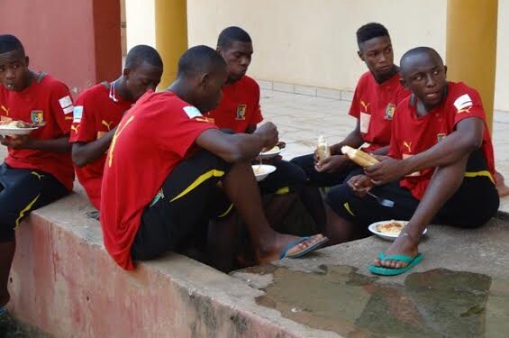 Lions cadets : Restaurant en plein air et sans télé