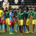 Classement Fifa : le Cameroun perd encore une place