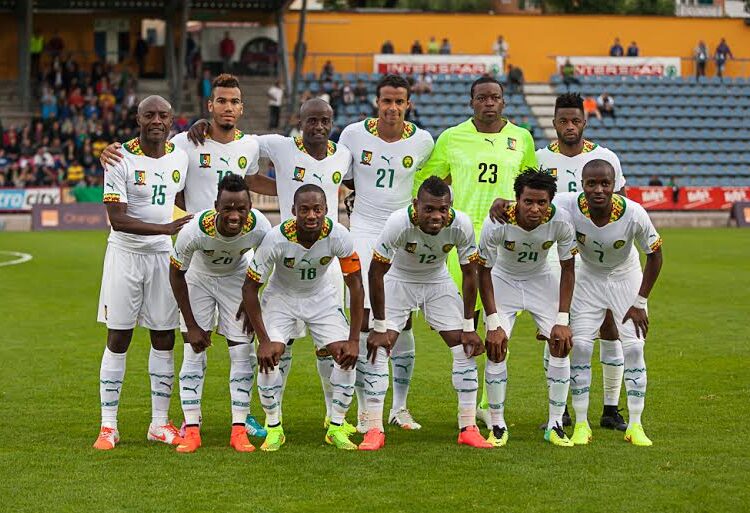 Can 2015 : Cameroun-Afrique du Sud en amical le 11 janvier