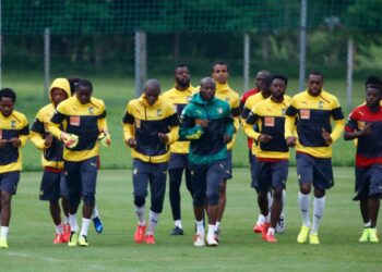 CAN 2015 : 24 ou 25 convoqués pour le stage des Lions