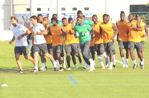 Préparation CAN 2015 : Nigeria et Suède au ménu des éléphants