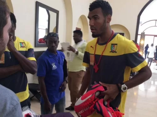 Ambiance dans la tanière