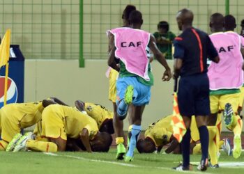 Mali – Cameroun : Revue de la presse : à la Une, les Lions peu rassurants