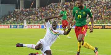 Cameroun – Guinée: le jeu et les joueurs