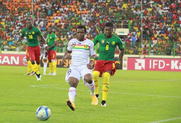 Cameroun – Guinée (1-1) : les buts en vidéo