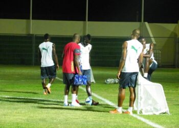 Dimanche des Lions : Ballon et vélo pour les remplaçants, repos pour les titulaires