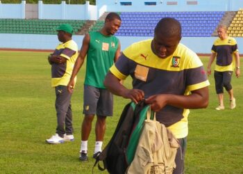 Lions Indomptables : confusion de rôles dans la tanière