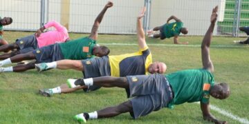 Lions Indomptables : comprendre les cas Clinton Njié et Mandjeck