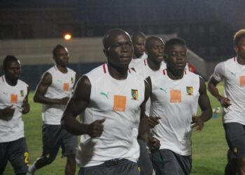 Mardi des Lions : derniers réglages avant le jour-j