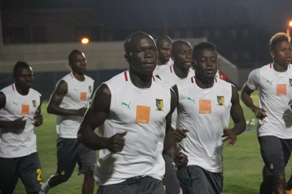 Mardi des Lions : derniers réglages avant le jour-j