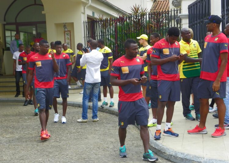 Avant match CMR – CI : la balade des lions en vidéo